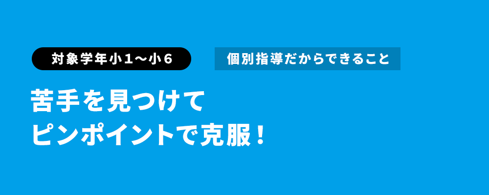 苦手を見つけて ピンポイントで克服！